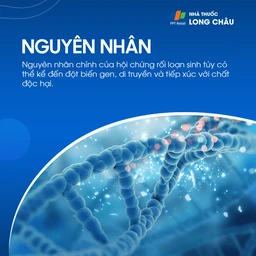 Rối loạn sinh tủy 3