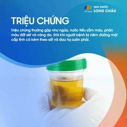 Thiếu máu cục bộ đường mật 2