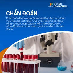 Thiếu máu tán huyết 7