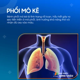 Phổi mô kẽ 1