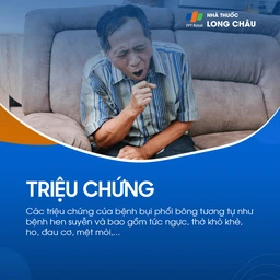 Bụi phổi bông 2