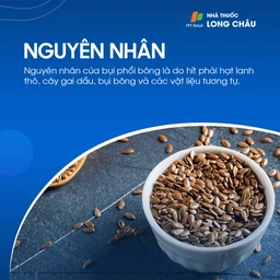 Bụi phổi bông 3