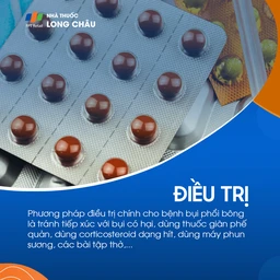 Bụi phổi bông 6