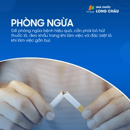 Bụi phổi bông 7