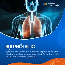 Bụi phổi silic 1