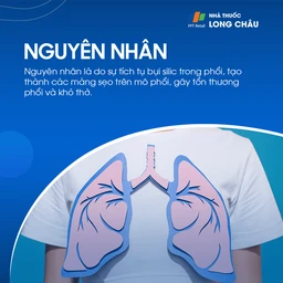 Bụi phổi silic 3