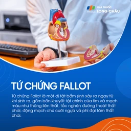 Tứ chứng fallot 1