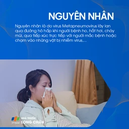 Viêm phổi do Metapneumovirus 3