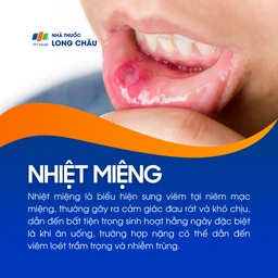 Vết loét đỏ đau rát ở niêm mạc môi dưới là biểu hiện của nhiệt miệng