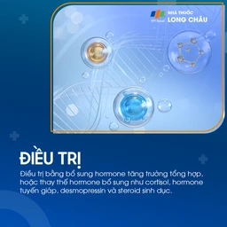 Lùn tuyến uyên 7