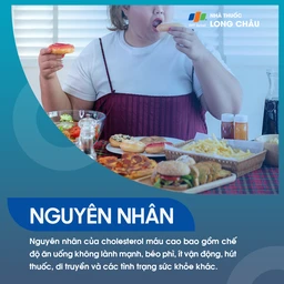 Do chế độ ăn nhiều chất béo, béo phì, ít vận động, hút thuốc, di truyền hoặc các bệnh lý mạn tính
