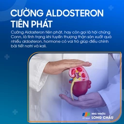 Cường Aldosteron tiên phát 1