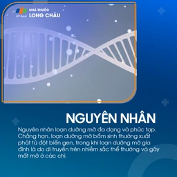 Loạn dưỡng mỡ 2