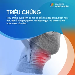 Sỏi bùn túi mật 2