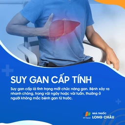 Suy Gan Cấp 1