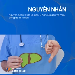 Tăng áp tĩnh mạch cửa 3