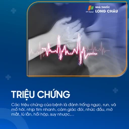 U tụy nội tiết Insulinoma 2