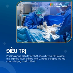 U tụy nội tiết Insulinoma 6