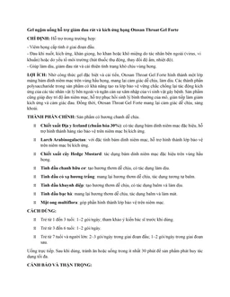 Gel ngậm họng Otosan Throat Gel Forte 14 gói x 10ml hỗ trợ điều trị viêm họng cấp tính