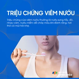 Bệnh nướu và nha chu 2