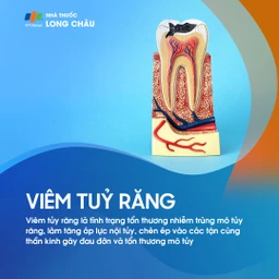Viêm tủy răng 1