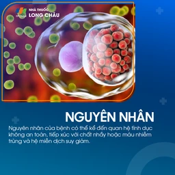 Bệnh hột xoài 4