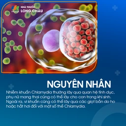 Nhiễm khuẩn chalamydia 3