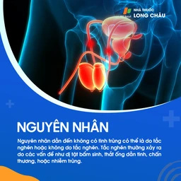 Không có tinh trùng 3