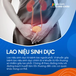 Lao hệ tiết niệu sinh dục 1