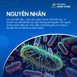 Lao hệ tiết niệu sinh dục 3