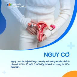 Loạn sản cổ tử cung 4