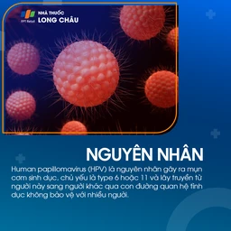 Nguyên nhân gây mụn cóc sinh dục, bao gồm sự lây nhiễm virus HPV qua tiếp xúc da