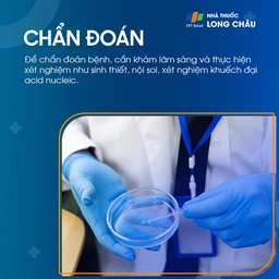 Quy trình chẩn đoán mụn cóc sinh dục tại phòng khám, bao gồm kiểm tra lâm sàng và xét nghiệm virus HPV