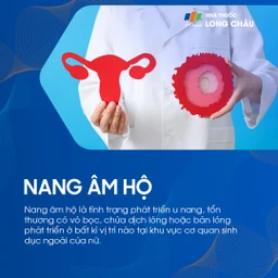 Nang âm hộ 1