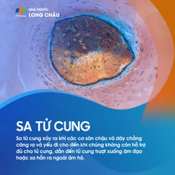 Sa tử cung 1