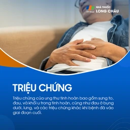 Ung thư tinh hoàn 2