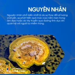 Nguyên nhân viêm âm đạo do mất cân bằng vi khuẩn, nấm men phát triển hoặc lây qua đường tình dục