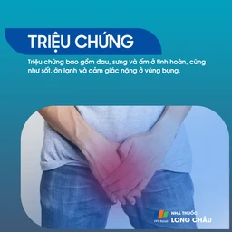 Viêm mào tinh hoàn 2