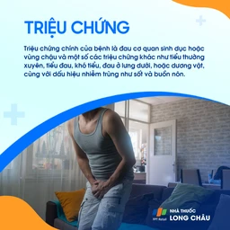 Viêm tuyến tiền liệt mạn tính 2