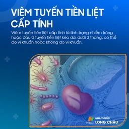 Viêm tuyến tiền liệt cấp tính 1