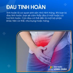 Đau tinh hoàn 1
