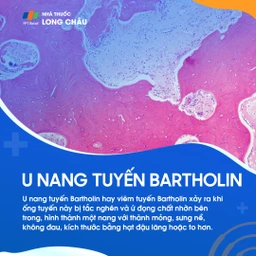 U nang tuyến Bartholin 1