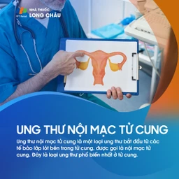 Ung thư nội mạc tử cung 1
