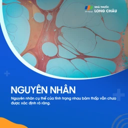 Nhau bám thấp 3