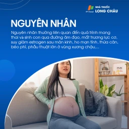 Sa tử cung sau sinh 4