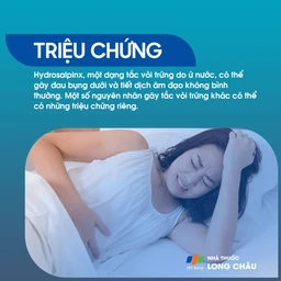 Tắc vòi trứng 3