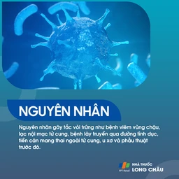 Tắc vòi trứng 4