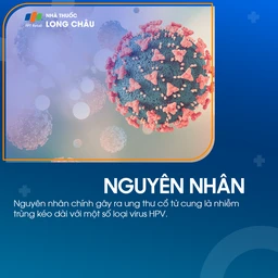 Ung thư cổ tử cung giai đoạn 1 - 3