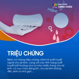 Xuất huyết tử cung bất thường 2