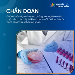 Bệnh Baylisascaris 5